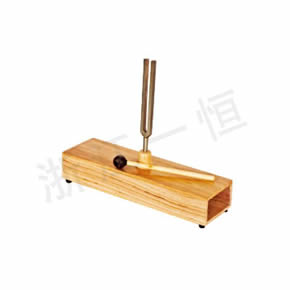 衛(wèi)生系列醫(yī)用(音叉整套)