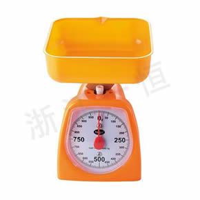 小學(xué)數(shù)學(xué)教學(xué)儀器彈簧度盤(pán)秤