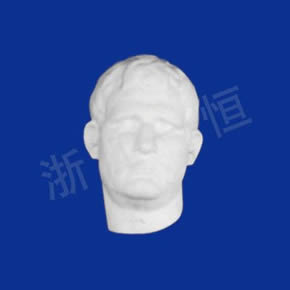 美術(shù)教材系列阿格里巴半面