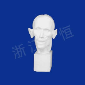 美術教材系列解剖頭像