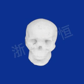 美術(shù)教材系列男頭骨