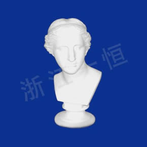美術(shù)教材系列維納斯人頭像