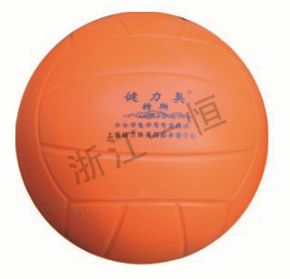 體育器材排球