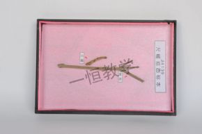 標(biāo)本尺蠖擬態(tài)標(biāo)本