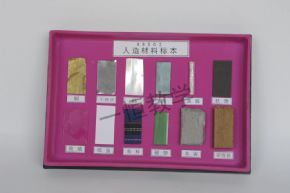 標本人造材料標本