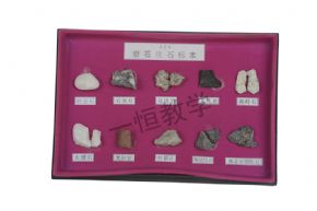 標本巖石化石標本